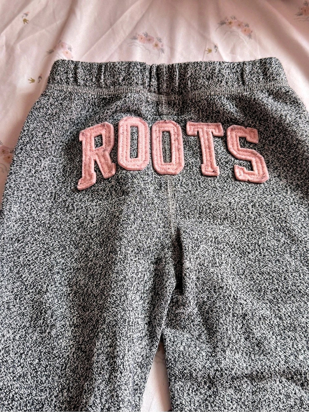 Roots Kids Gray Jogger Pants Size 2T
